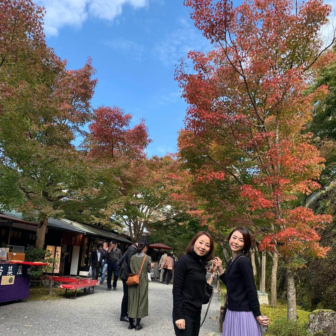 宮崎宣子さんのインスタグラム写真 - (宮崎宣子Instagram)「京都の紅葉は、まだ早かったけど、少しでも見たくて三千院へ🍁 北の方にあって少し気温が下がるため紅葉が始まってました😊✨ 少しでも見られて嬉しい😆 まきちゃん、連れてきてくれてありがとう❤️ #紅葉 #京都の紅葉 #三千院 #紅葉のはじまり #紅葉の時期はもっと素敵なんだろうな #京都旅」11月3日 16時18分 - miyazaki_nobuko