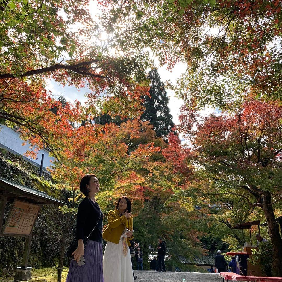 宮崎宣子さんのインスタグラム写真 - (宮崎宣子Instagram)「京都の紅葉は、まだ早かったけど、少しでも見たくて三千院へ🍁 北の方にあって少し気温が下がるため紅葉が始まってました😊✨ 少しでも見られて嬉しい😆 まきちゃん、連れてきてくれてありがとう❤️ #紅葉 #京都の紅葉 #三千院 #紅葉のはじまり #紅葉の時期はもっと素敵なんだろうな #京都旅」11月3日 16時18分 - miyazaki_nobuko