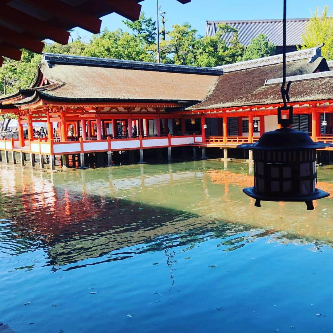 山口実香さんのインスタグラム写真 - (山口実香Instagram)「#厳島神社 でおみくじ引いたら「平」って出たよ🤔✨珍しいみたい！？」11月3日 21時48分 - yama.mikan