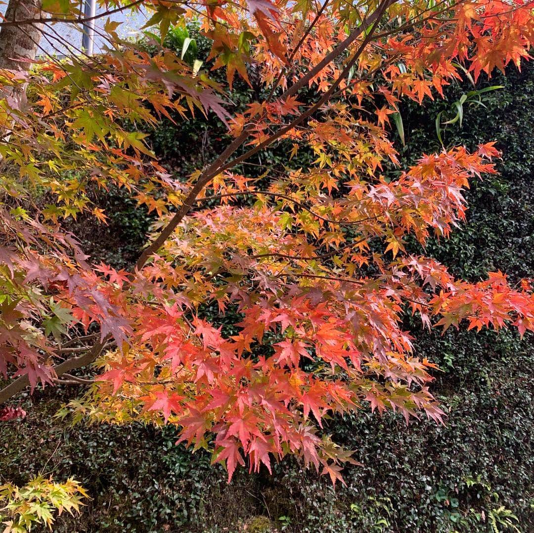 宮崎宣子のグルメインスタ