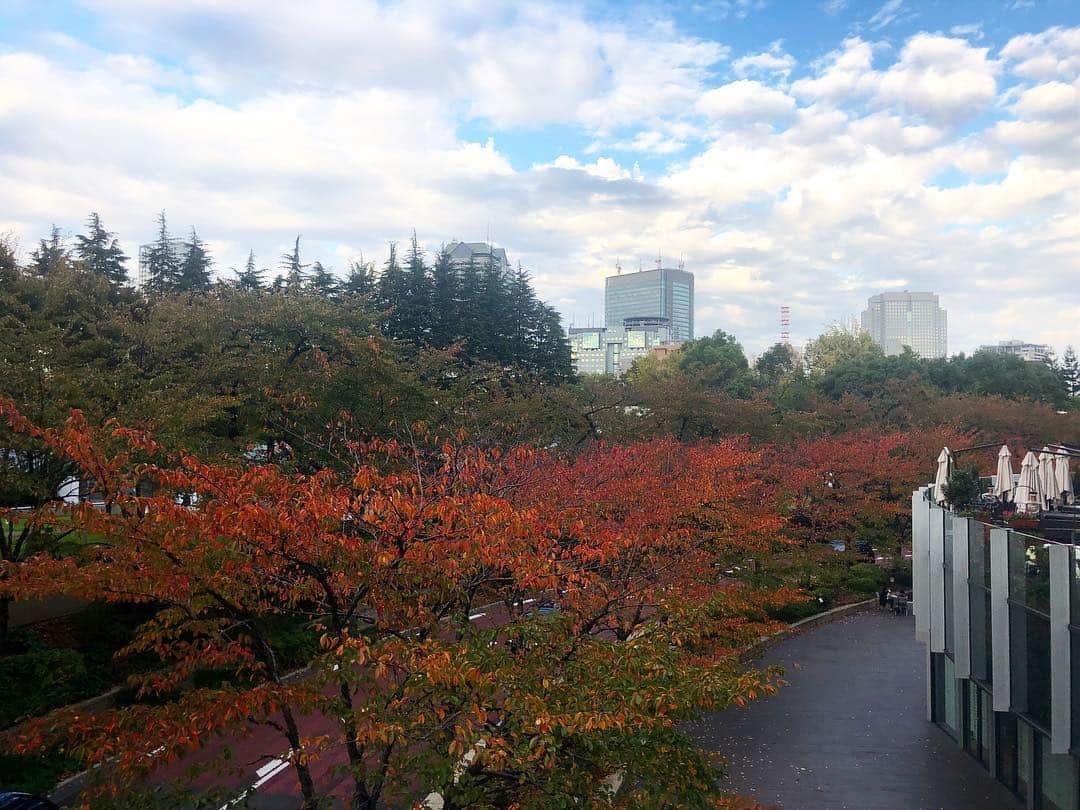 阿部優貴子さんのインスタグラム写真 - (阿部優貴子Instagram)「東京も秋めいてきました🍁 今週は季節の変わり目にやられ、風邪を引いちゃいましたが、なんとか葛根湯で乗り切りました！ 皆様もお気をつけください🤧  #紅葉2018 #東京の秋 #autumn #tokyo #季節の変わり目 #ご自愛ください」11月3日 16時55分 - abe_yuki94