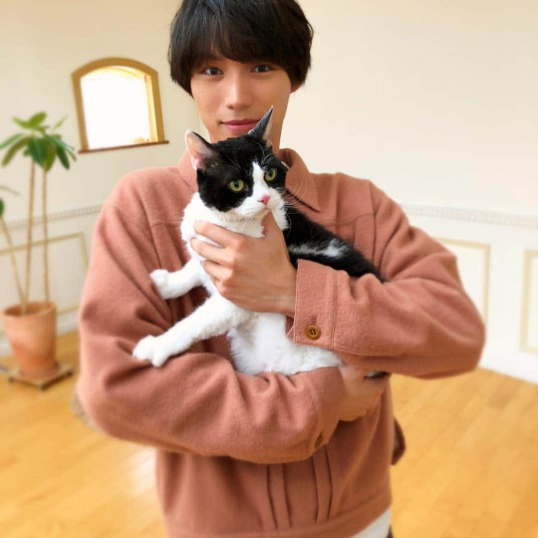 福士蒼汰さんのインスタグラム写真 - (福士蒼汰Instagram)「Love you, Nana.  愛しのナナ。  #旅猫リポート #thetravelingcatchronicles」11月3日 20時04分 - fukushi_sota_official