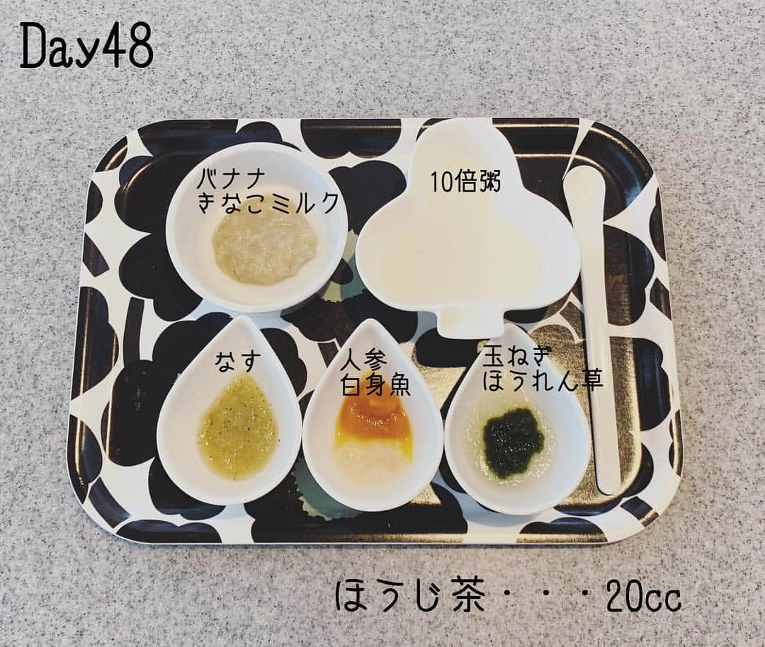 ポンさんのインスタグラム写真 - (ポンInstagram)「こんにちは！ 生後205日になり、離乳食も順調に進んでいます！完食したり、2/3だったり、数口で終わったり色々です！楽しみながら進めてます☆離乳食カレンダー作ったけどその通り作ることはあまりないです(適当) 歯もはえてきて噛まれると痛いです😂  #6ヵ月 #離乳食 #玉ねぎ好き」11月4日 16時12分 - ponchan.yomepon