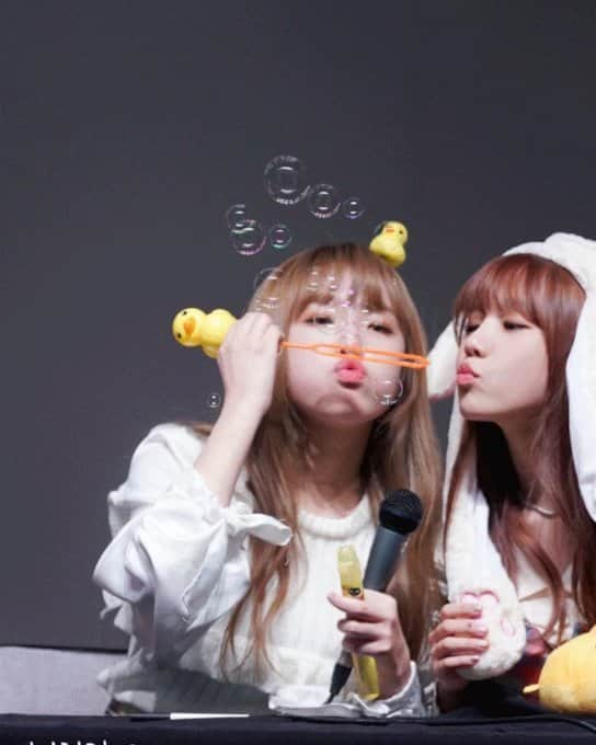 チョ・ユリのインスタグラム：「안녕💖 w/ @yena.izones They're so cute😣😣😣 ────── Jo yuri's daily updates? Follow me ➡ @joyuri.official °©; the owner ──────| #produce48 #idolschool #mnetofficial  #izone #izoneupdates #mnetproduce48 #joyuri #yuri #kpop #kpopf4f #kpopl4l #asian #asiangirl #asiangirls #조유리 #아이돌 #아이돌학교 #아시아나 #애교 #애교쟁이 #choiyena」