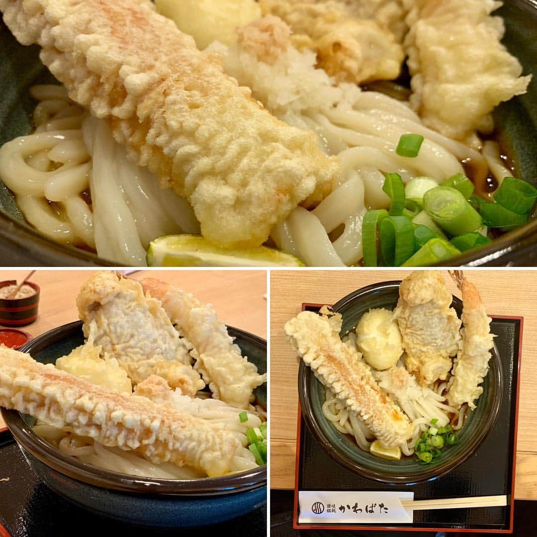 instameetuposakaのインスタグラム：「めっちゃ美味しいうどん屋さんを見つけました！ #讃岐うどん #讃岐饂飩かわばた  #うどん  #下新庄 #大阪 #大阪府 #osaka #osakajapan」