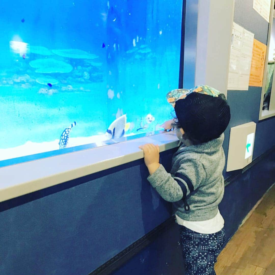 堀畑裕也のインスタグラム：「ママは仕事のため息子と水族館🐠 #蒲郡 #竹島水族館 #男二人 #KJ」