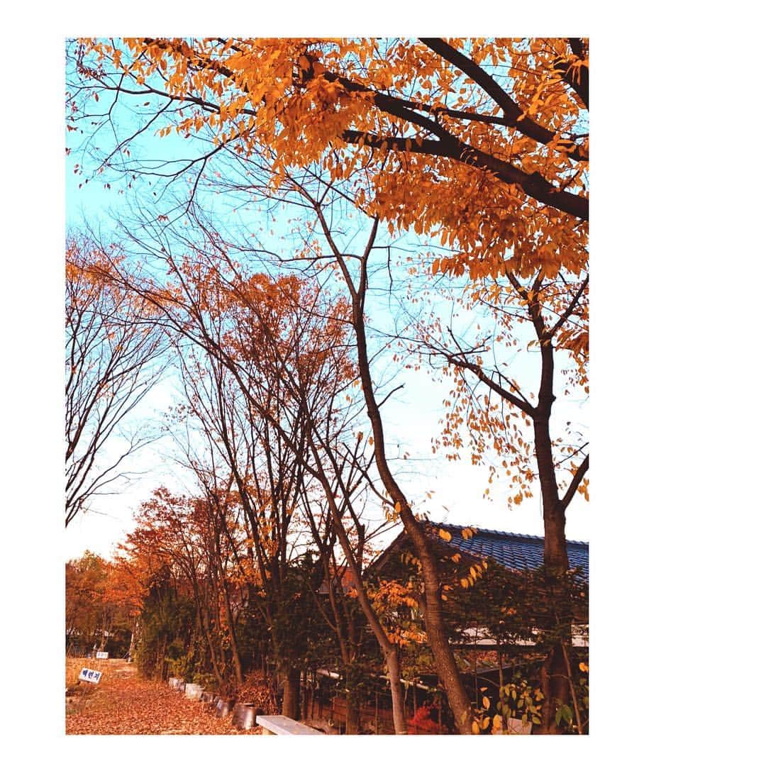 チョン・ユミさんのインスタグラム写真 - (チョン・ユミInstagram)「가득하게 가을하다. 🍂🧡」11月4日 23時36分 - yum_yum