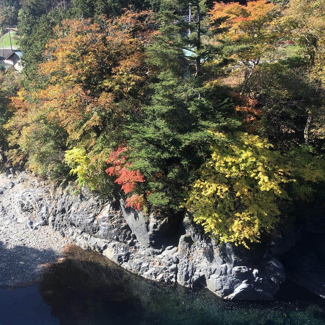 瑞羽奏都（水谷美月）さんのインスタグラム写真 - (瑞羽奏都（水谷美月）Instagram)「仕事で群馬に行った時に… トロッコわっしー号に乗って、紅葉を見に行ってきました🍁 今秋は、暖かかったからか、紅葉はちょっと早かったかなぁ…。 トロッコに揺られながら見る渓谷の眺め、一つ一つの駅がレトロでほっこりする列車旅。 私も、車掌になってみました🚃 なりきってみたけど…どないです？？？？ #トロッコわっしー号  #わたらせ渓谷鐵道  #紅葉 #桐生 #間藤 #通洞  #車掌 #水谷美月」11月5日 10時45分 - mizuki.m_mizuha