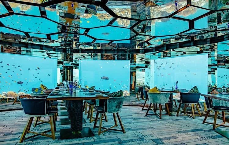 Interior123.com のインスタグラム：「Underwater restaurant in Maldives. ☺️ Would you? 🤷🏻‍♂️ 📸 @algisskara @food」