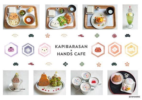 カピバラさんのインスタグラム：「＼＼＼本日から！！／／／ カピバラさんと東急ハンズのカフェ「ハンズカフェ」がコラボ！！ 和をテーマにしたカピバラさんがかわいいカフェで皆さまのお越しをお待ちしています✨  https://www.tokyu-hands.co.jp/news/20181023_letter_kapibara_hp.pdf https://tryworks.jp/news/etc/004153.php」
