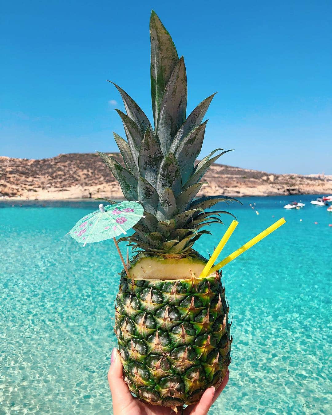 かにゃさんのインスタグラム写真 - (かにゃInstagram)「Maltaで一番美しいビーチBlue Lagoon🏖✨ . このかわいいパイナップルジュースの中に知らぬ間に蜂が入り込んでて気付かず飲んでしまった事件…🍍🐝 OMG🤮🤮🤮 . . #🇲🇹 #malta #comino #cominoisland #bluelagoon #beach #pineapple #pineapplejuice #juice #beautiful #beautifulbeach #instabeach #マルタ #マルタ島 #マルタ共和国 #コミノ島 #ブルーラグーン #ビーチ #パイナップル #パイナップルジュース #ジュース」11月5日 19時48分 - kanya_435