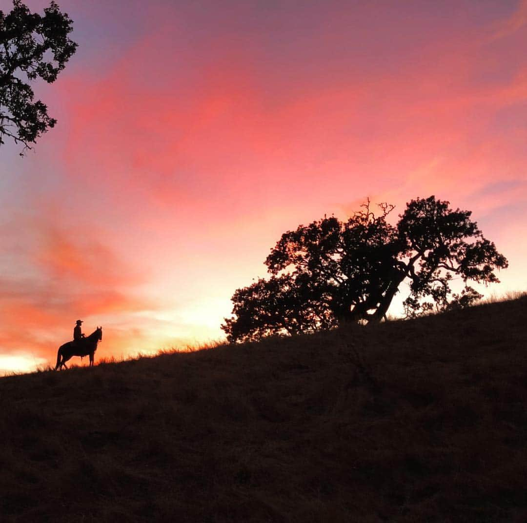 グラハム・フィリップスのインスタグラム：「sunset trail ride. photo cred: mom」