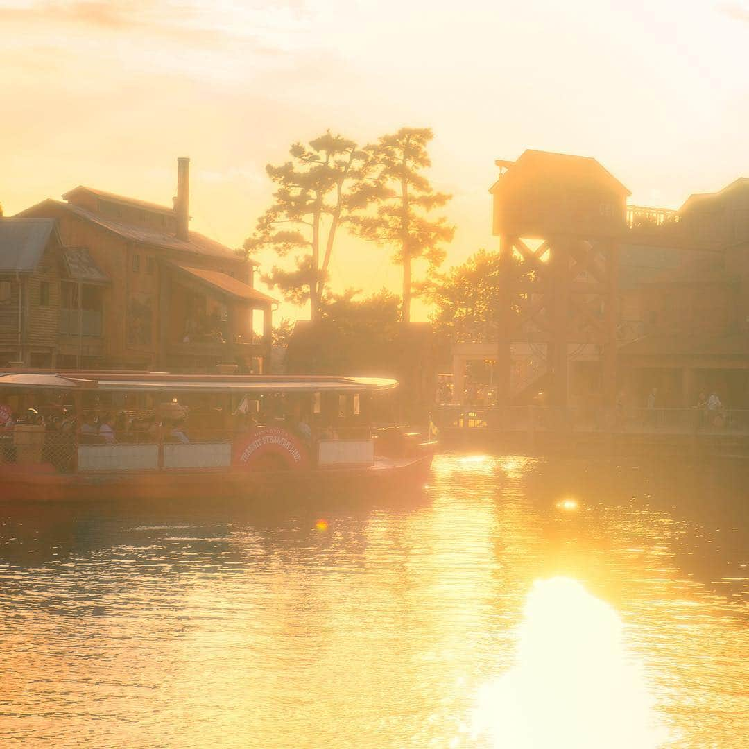 東京ディズニーリゾートさんのインスタグラム写真 - (東京ディズニーリゾートInstagram)「sunset voyage 輝く夕日に包まれて #disneyseatransitsteamerline #tokyodisneysea #tokyodisneyresort #sunset #ディズニーシートランジットスチーマーライン #東京ディズニーシー #東京ディズニーリゾート #夕日 #サンセット」11月5日 16時25分 - tokyodisneyresort_official