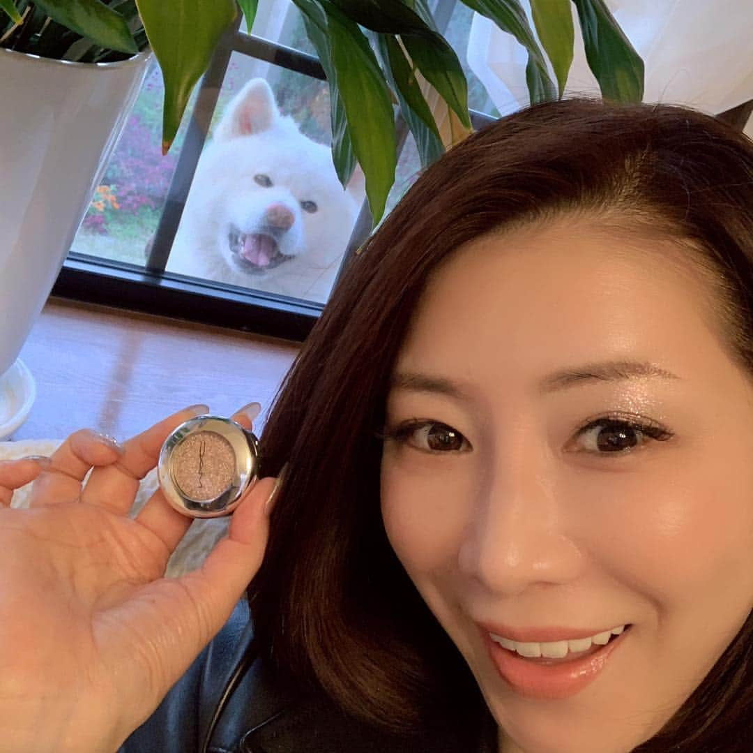 水谷雅子さんのインスタグラム写真 - (水谷雅子Instagram)「M.A.Cじゃあなくマグ〜🐶 それそろ散歩が行きたいのね😃🐶🍁 #秋田犬 #秋田犬マグ #akitainu #dog  #コスメ #メイク #アイシャドウ  #m.a.c#シャイニープリティシャドウ」11月5日 16時55分 - mizutanimasako