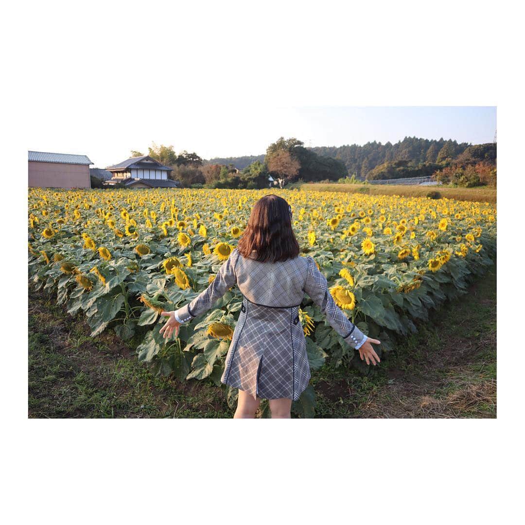 倉野尾成美さんのインスタグラム写真 - (倉野尾成美Instagram)「3枚目は地元の皆様と☺️ #🌻 #ひまわり #ひまわり畑 #大津町 #倉野尾成美の熊本紹介」11月5日 17時34分 - noochan_1108