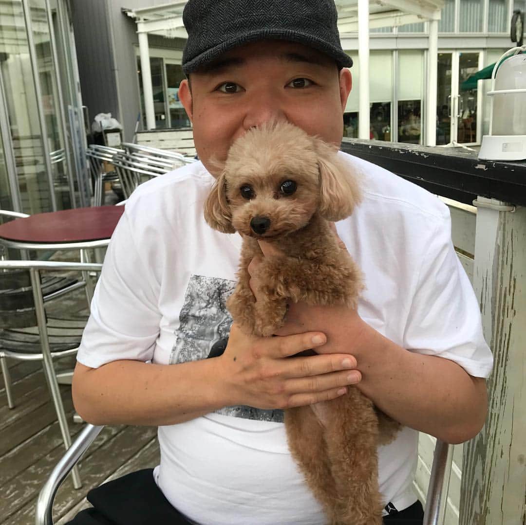 内山信二さんのインスタグラム写真 - (内山信二Instagram)「今日はペットシッターです！ ドッグカフェで以前に会った  けだままちゃんにも会いました。 #きなこ #ティーカッププードル #５歳 #犬好き #犬バカ」11月5日 17時40分 - meetbowl2929