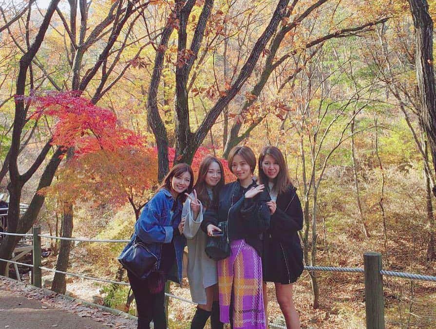 赤谷奈緒子さんのインスタグラム写真 - (赤谷奈緒子Instagram)「韓国も紅葉がとっても綺麗でした🍁🍁🍁💕」11月5日 17時52分 - naokoakatani