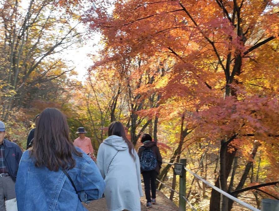 赤谷奈緒子のインスタグラム：「韓国も紅葉がとっても綺麗でした🍁🍁🍁💕」