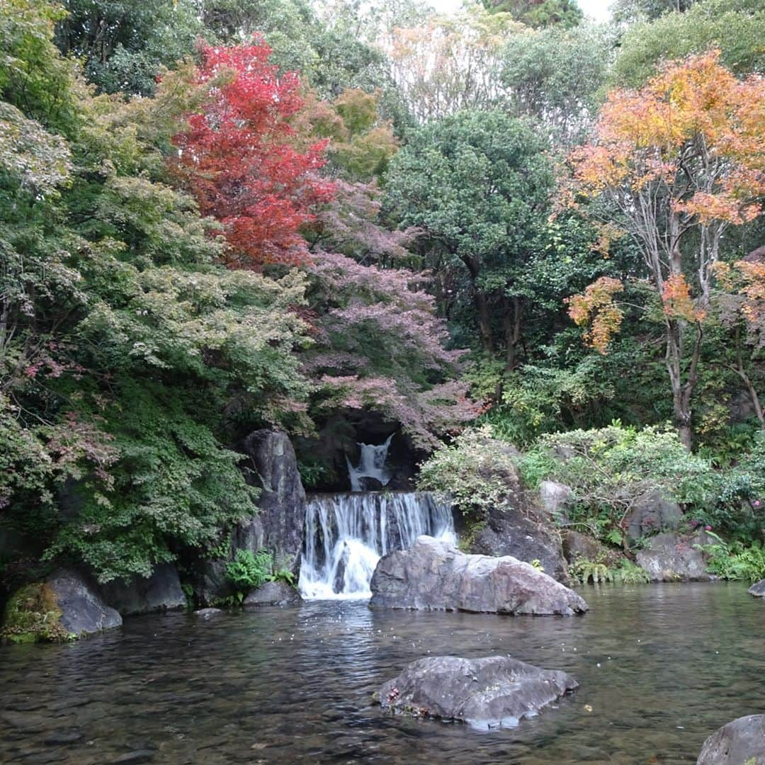 小泉エリさんのインスタグラム写真 - (小泉エリInstagram)「紅葉を観に、万博記念公園へ行ってきました🤩 お弁当を買って、ピクニック😋🍴🍱🎶 お散歩をしていたらバラ園もあったり、きれいな庭園に滝もあり、素敵な秋を感じることが出来ました🍁 太陽の塔の後ろ姿が哀愁漂っていて、気に入りました🤣 大阪万博も行きたいな😋 #大阪万博 #万博記念公園 #紅葉 #外で食べるご飯は美味しい」12月5日 0時37分 - eri_koizumi_0328