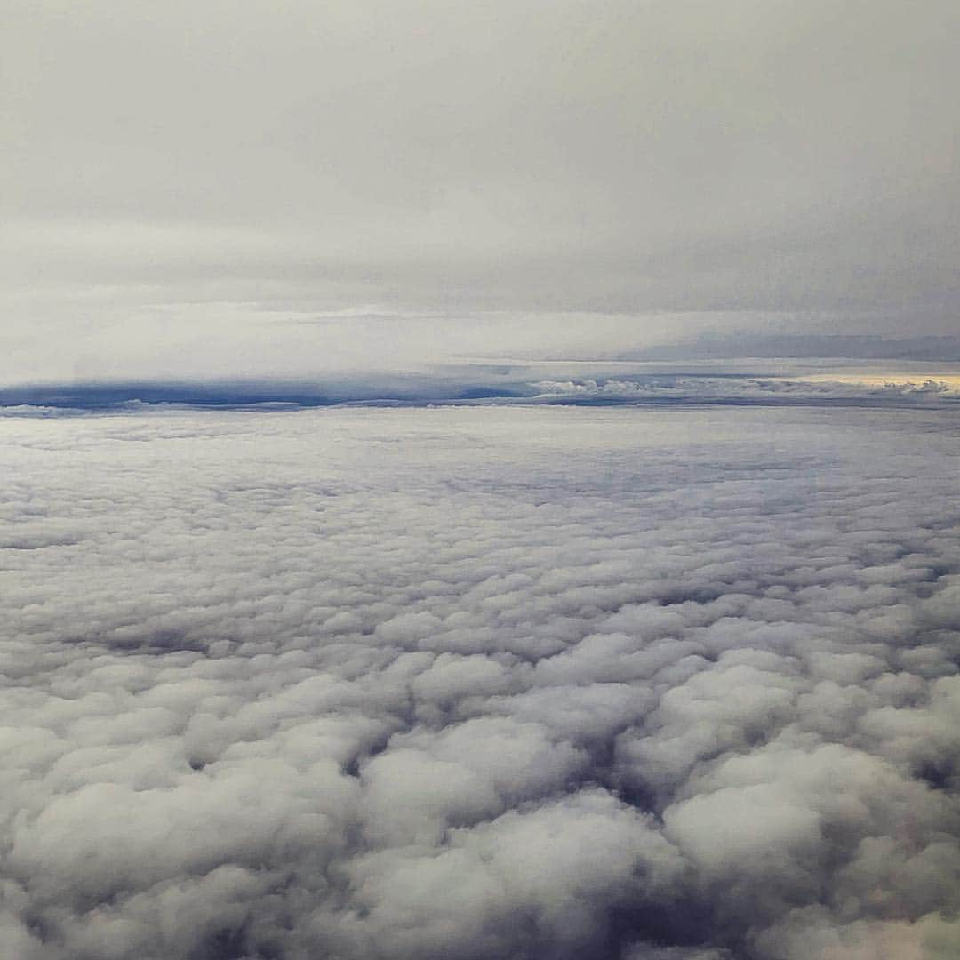 のインスタグラム：「We were flying」