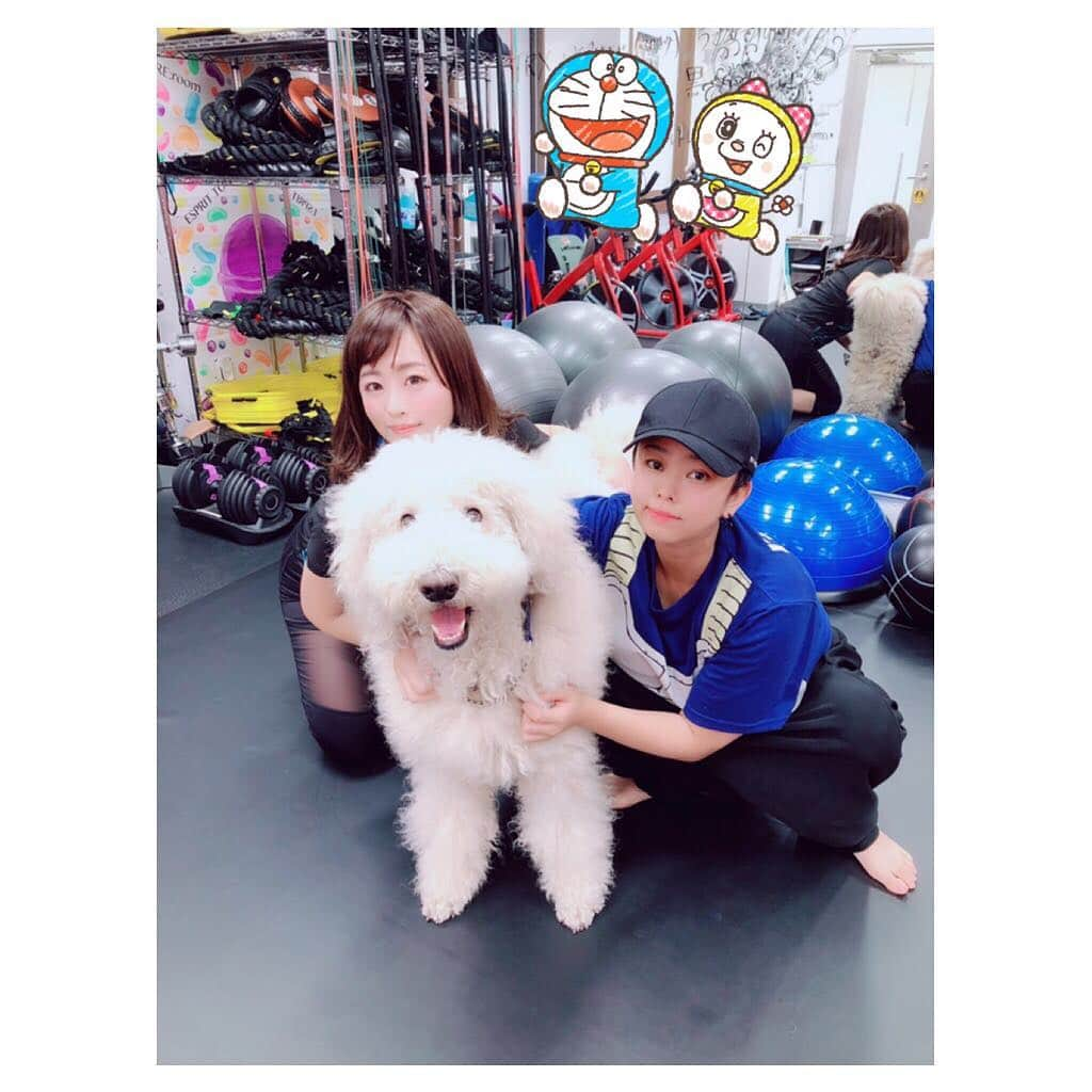 水樹たまさんのインスタグラム写真 - (水樹たまInstagram)「昨日もぴーさんとCANDY GYMでトレーニング(´⊙ω⊙`) 前身筋肉痛で辛いところさらに痛めつける…(´･ᴥ･｀) ガホさんのおかげで頑張れた！ その後はたまたまやってたイベントでシャンパン買ってるんるんなわし。  #curvygirl #curvy #followｍe #筋トレ女子 #ジム #moet #champagne #外飲み #酒好き #スタンダードプードル #犬 #看板犬 #もこもこ #dog #pちゃん #グラビア #グラビアアイドル #bigboobsgirl #突然のドラえもん」12月1日 10時44分 - mizukitama