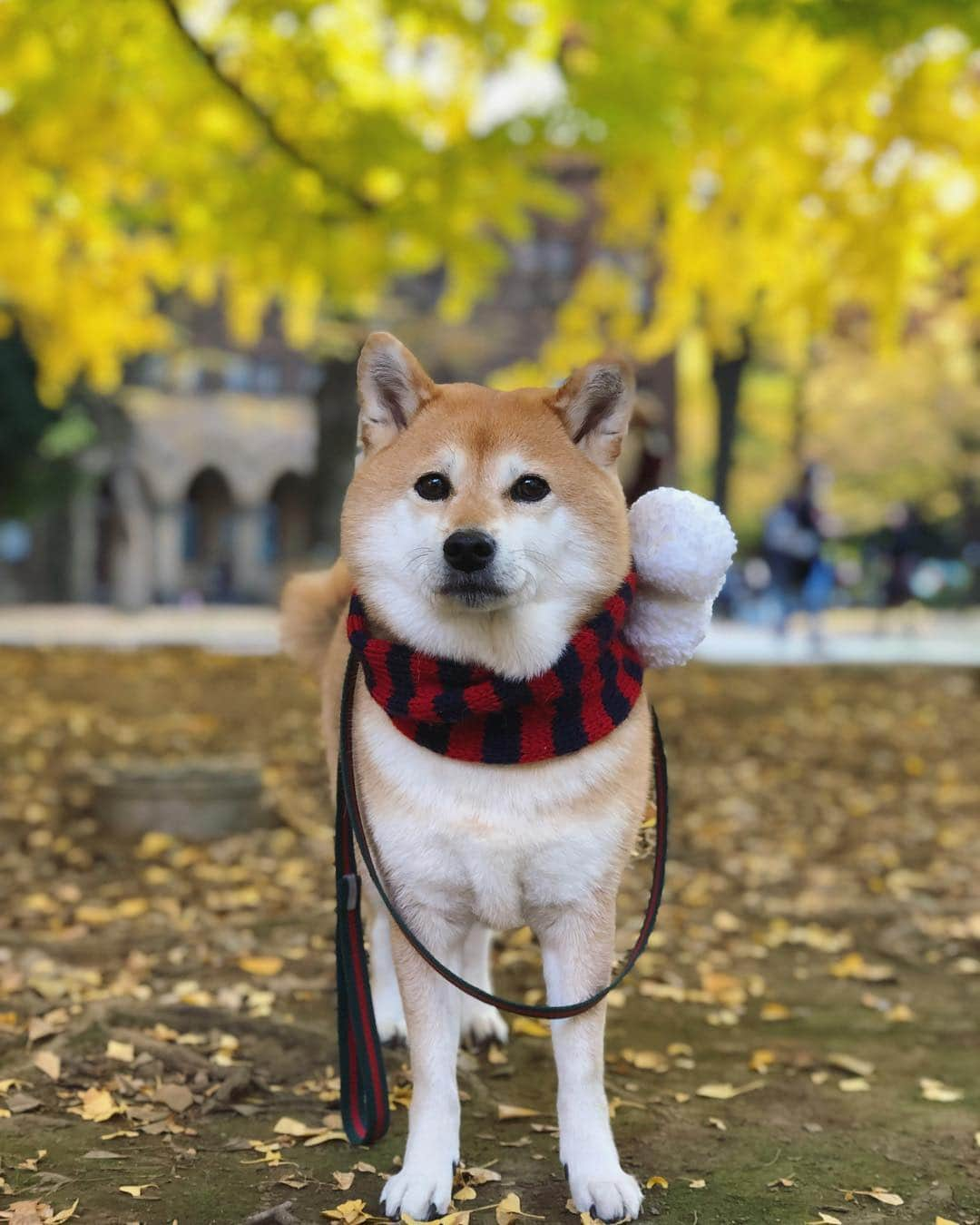 くるみのインスタグラム