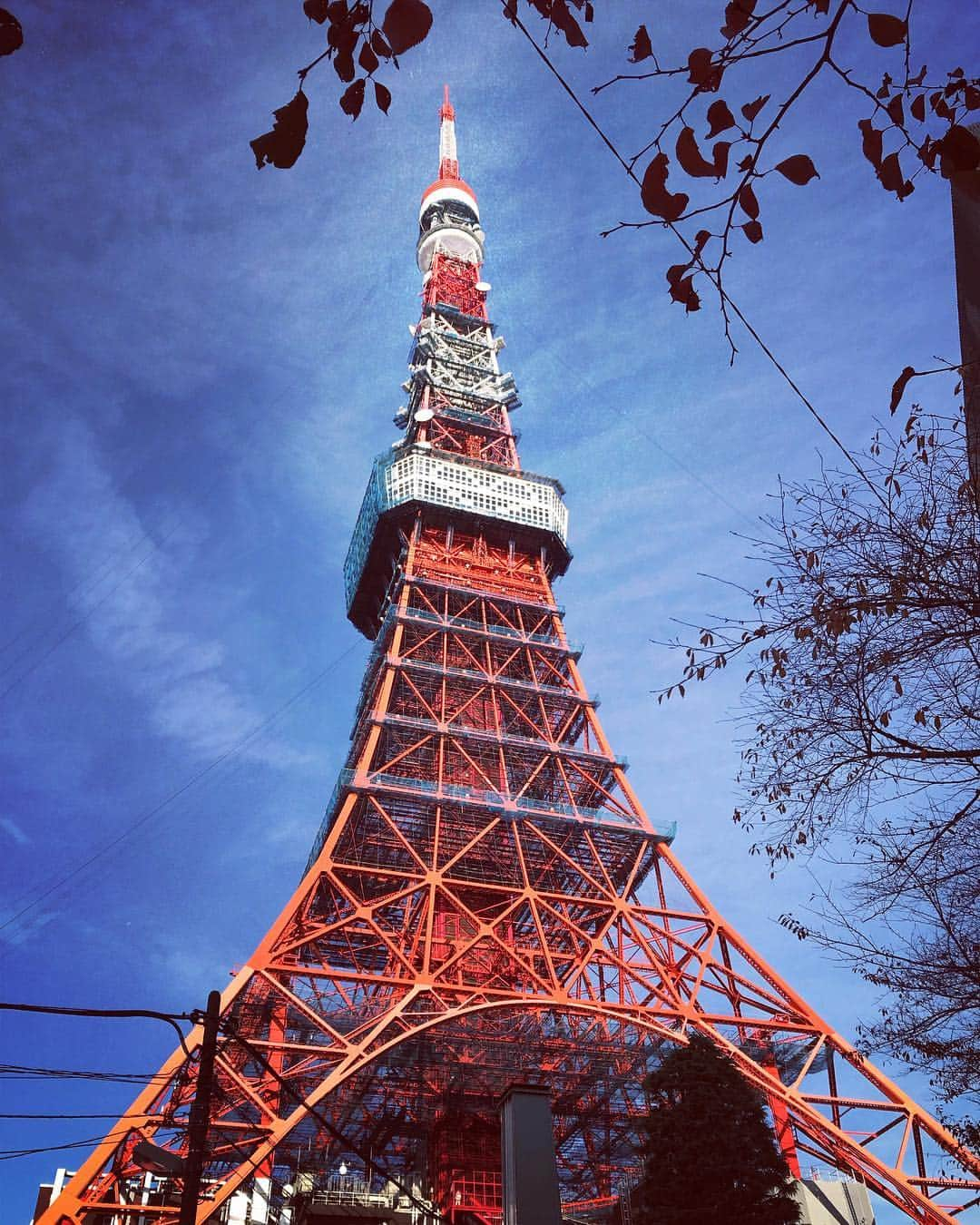 村崎樹江里さんのインスタグラム写真 - (村崎樹江里Instagram)「Tokyo Tower🗼 . . . #camera #streetphotography #likeforlikes #japan #tokyo #littlethingsinlife #lifeinjapan #likeforfollow #photographer #travelthroughthelenses #photooftheday  #カメラ #写真好きな人と繋がりたい #カメラ散歩 #インスタ映え  #ストリートスナップ #街 #街歩き #いいね . . .」12月1日 20時28分 - jueridayo