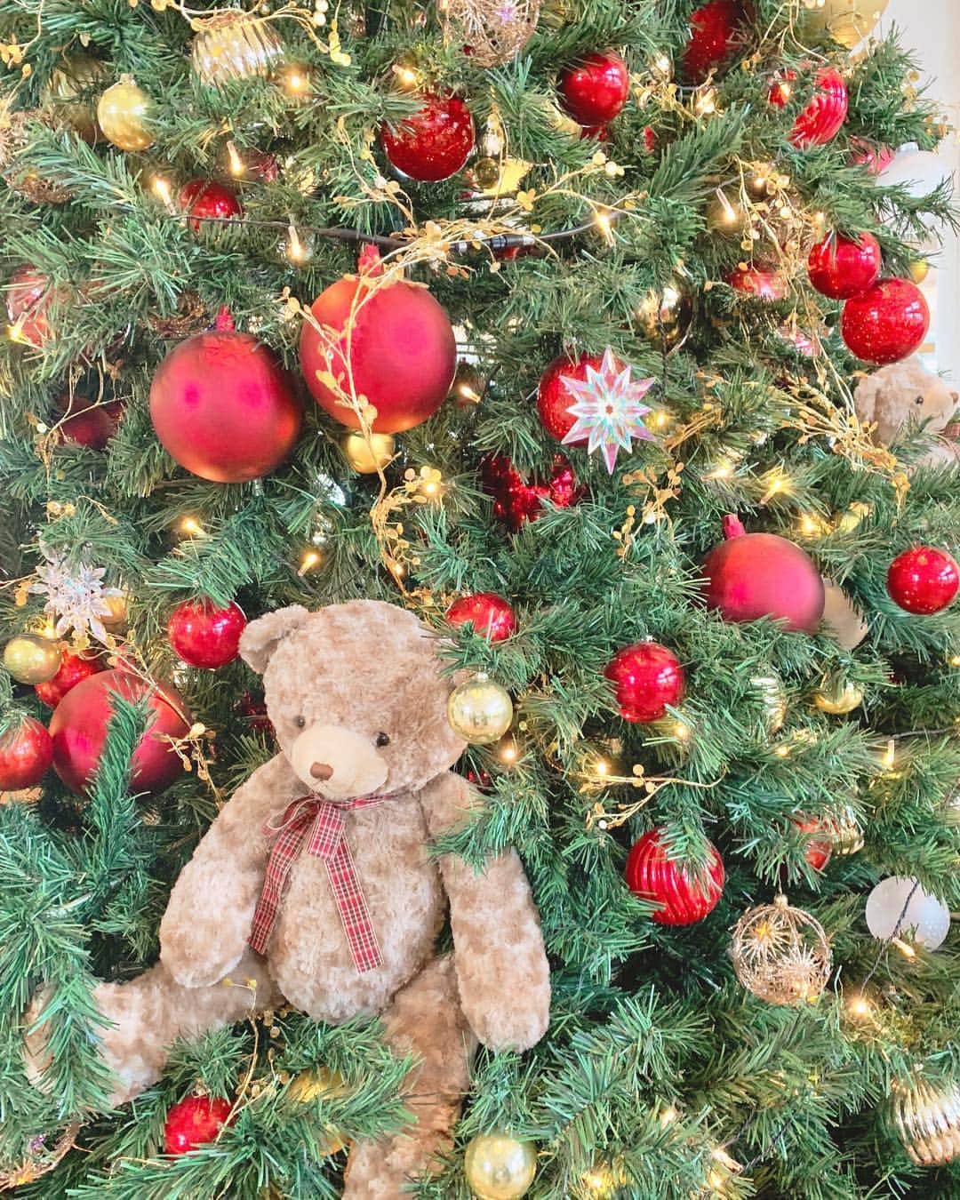 西村笑花さんのインスタグラム写真 - (西村笑花Instagram)「♥️ ・ ・ #december #12月 #ヒルトン東京お台場 #クリスマスツリー #クリスマス #可愛い #happychristmas #christmastree #hilton #🐻 #🎄」12月1日 13時21分 - emika_nishimura