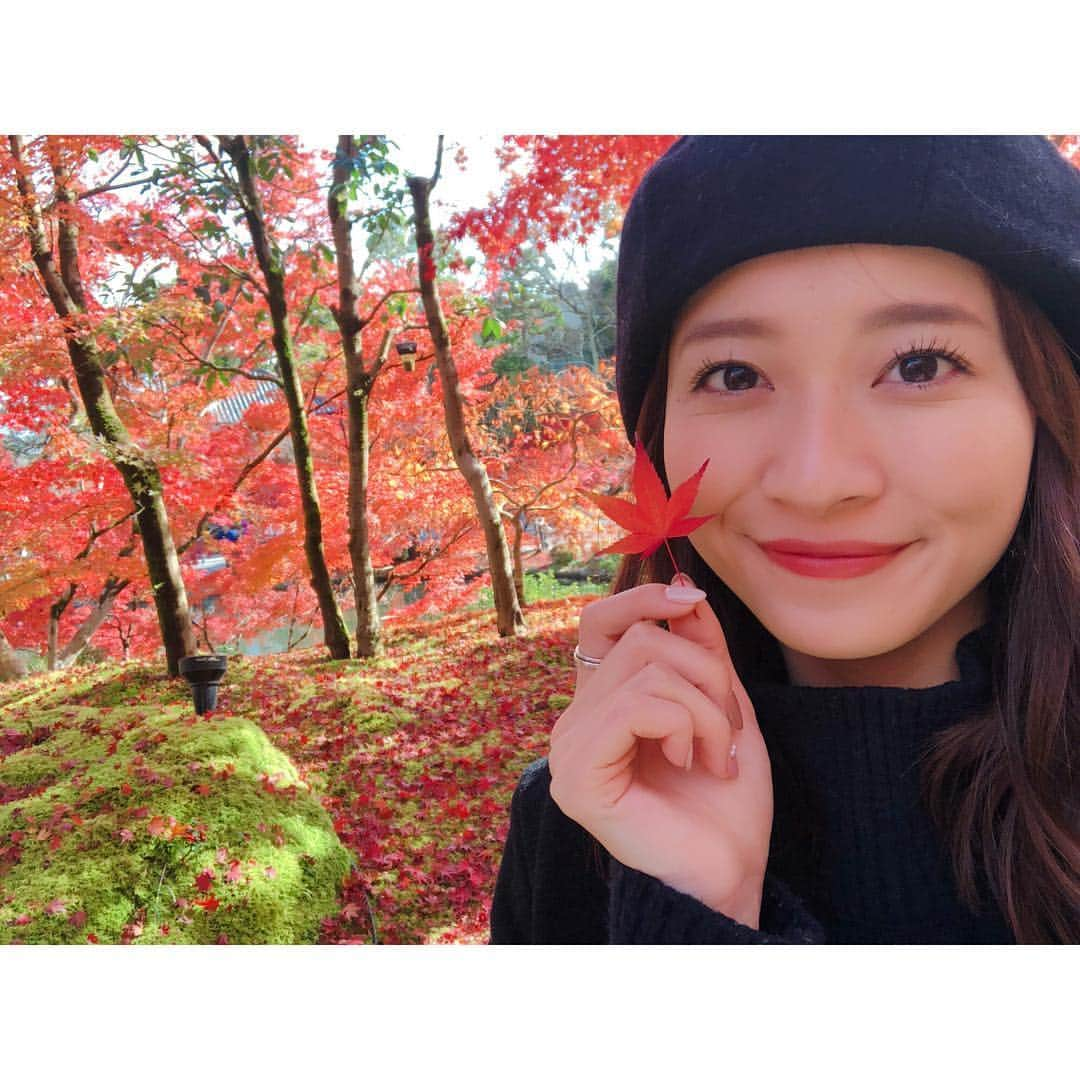 山本里菜さんのインスタグラム写真 - (山本里菜Instagram)「行っちゃいました〜京都まで🥺🍁🍁🍁🍁🍁🍁🍁🍁🍁 どうしても紅葉を見たく、思い立って弾丸ひとり旅を人生初めてしてきました！！🚶‍♀️ 真っ赤！真っ赤！真っ赤！！見渡す限り燃えるような赤！息を呑む美しさ🍂🍁 自分なりに色々調べて紅葉が綺麗なスポット巡りを計画して行きましたが..... ひとり旅だと皆さん優しくして下さいますね🤣「1人で来たの？？ここがオススメだよ！こっちの方が穴場だよ！」と色々情報を教えてもらえました😊やっぱり現地のことは現地の方に聞くのが1番🍡✨ 私は歩くのが好きなのでたくさん歩いてゆっくり眺めながら美味しい物を食べてリラックスしてきました🧣🍂 明日からまた頑張ります！ サンジャポ見てくださいね☆  #紅葉 #京都 #そうだ京都へ行こう #仁和寺 #清水寺 #永観堂 #東福寺 #光明院 #ひとり旅 #女子旅 #お団子 #真っ赤」12月1日 17時50分 - rinayamamoto_0622