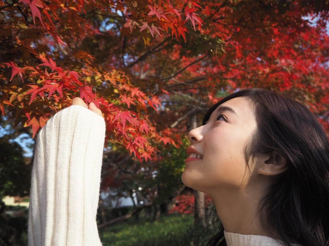 藤林温子さんのインスタグラム写真 - (藤林温子Instagram)「. 紅葉狩り . 後輩を連れて 念願の平等院鳳凰堂へ 最高のタイミングでした 辻アナと紅葉を撮るのに夢中🥰 楽しかったなぁ〜  辻アナのベストショットご覧あれ 大阪マラソンお疲れ様 ご褒美スイーツも堪能 抹茶もほうじ茶も 美味しすぎました😁❤️ また行こうね🥰 いい写真ありすぎて載せきれられないです😭💦 #辻沙穂里 アナ #平等院鳳凰堂  #10円玉  #紅葉 #中村藤吉本店  #被写体に感謝 #宇治」12月1日 17時53分 - atsuko_fujibayashi