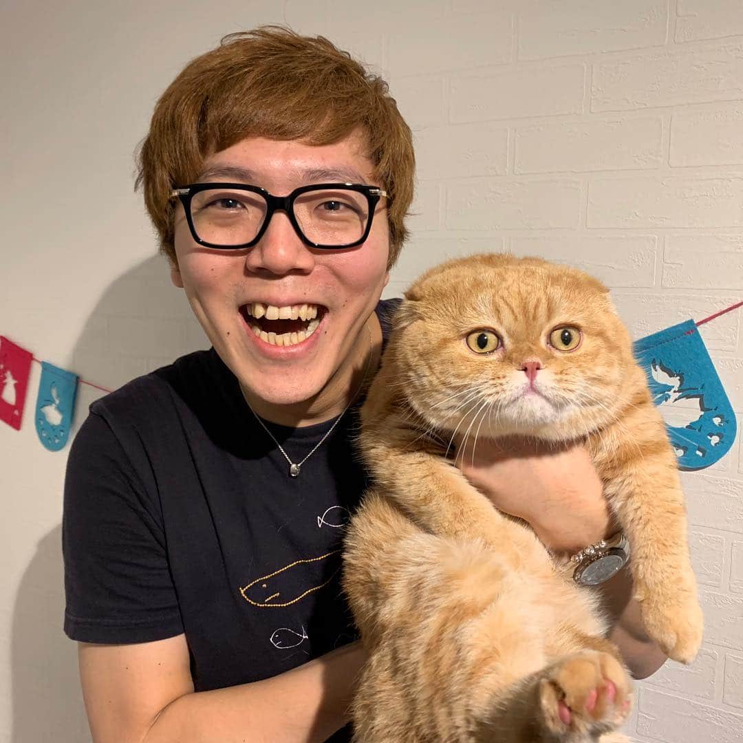 HIKAKINのインスタグラム：「まるお&もふこのパパが、あり得ないデカさだった😭💕💕💕 #まるお #もふこ #猫 #かわいい #ヒカキン」