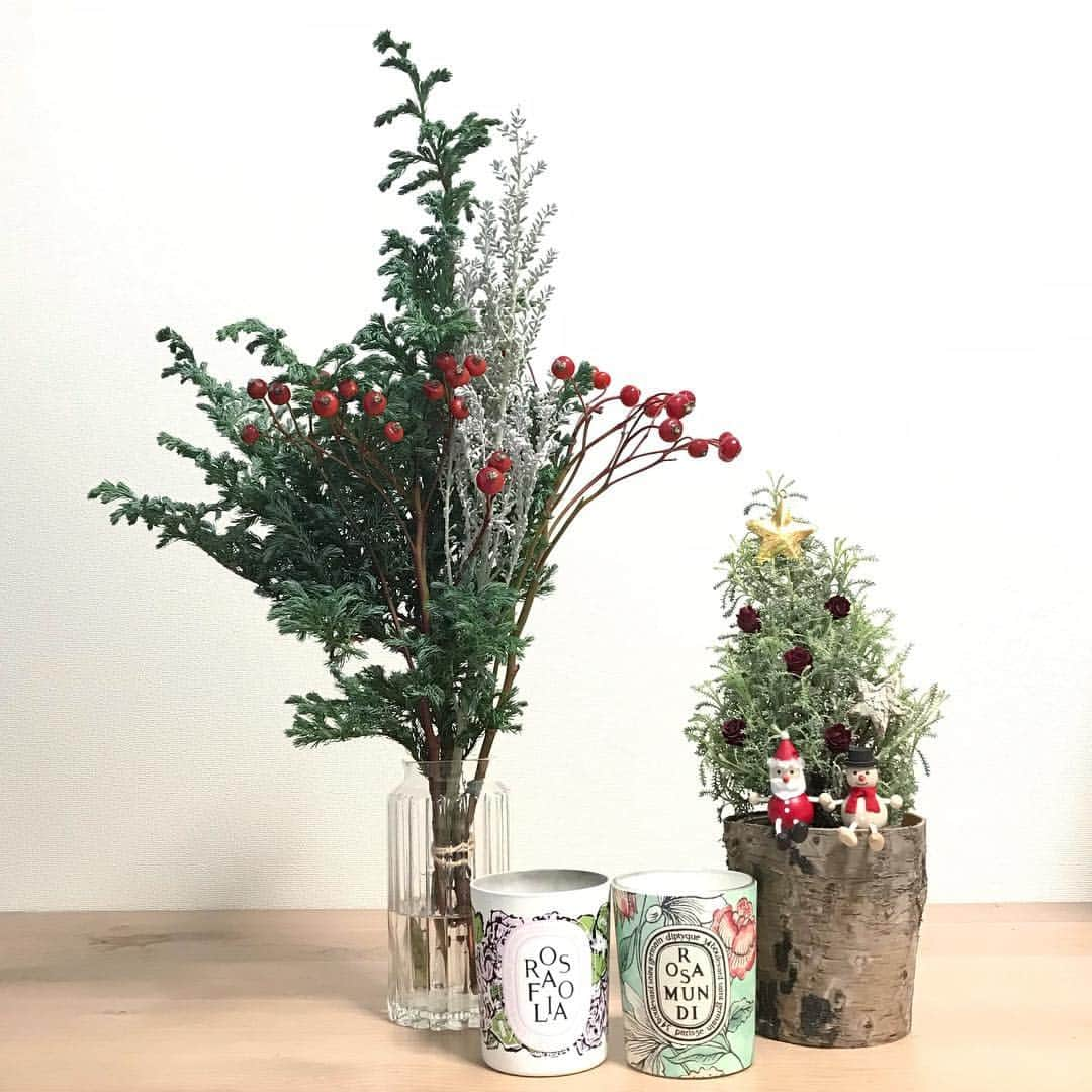 Sayakaさんのインスタグラム写真 - (SayakaInstagram)「Hello, December❣️ 12月になったので少しずつクリスマス準備🎅🎄✨✨ * * * #flower #flowers #green #flowerlovers #floweroftheday #flowerstagram #flowerarrangement #christmastree #sayakasflower #hellodecember  #フラワーアレンジメント #コニファー #コニファーブルーバード #バラの実 #枝ツリー #クリスマスアレンジ #クリスマス準備 #花のある暮らし #花のある生活 #インテリア #おうち時間」12月1日 22時26分 - sayaka_0523