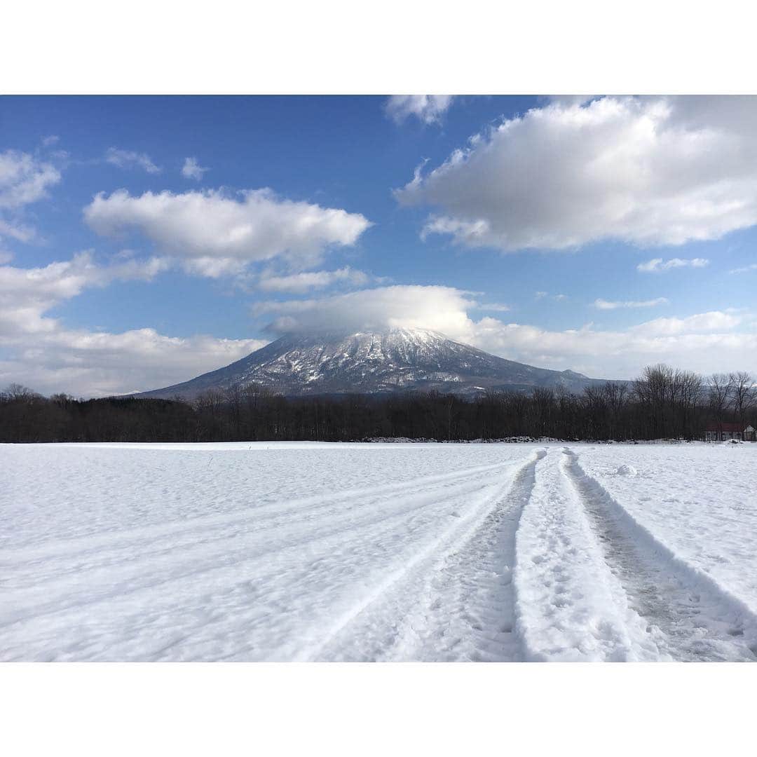 のインスタグラム：「札幌の翌日は、移動して岩内にてライブ！1871（イワナイ）の可愛い女の子達と一緒にパフォーマンス✨とっても嬉しかったな😆 國本農園の國本耕助くんのイベント、抽選プレゼントがお米だったり、カレー屋さんとお野菜でコラボしたり、農家ならではでとっても楽しかったです！耕助くん  @kovsuke 呼んでくれて盛り上げてくれて本当にどうもありがとう！！ライブの翌日は四年前にも行ったスキーリゾート地、ニセコへ！とんでもなく美しい町でした！そしてジャガイモ麺の「豪雪うどん」を初めていただきましたが、透き通ってて、美味しすぎてビックリしました！！！！また食べたい😍😍😍kingdomのみなさま、お越し下さったみなさま、３日連続大地くん、本当にありがとうございました！  らぁぶ！#niseko #ニセコ #岩内 #國本農園」