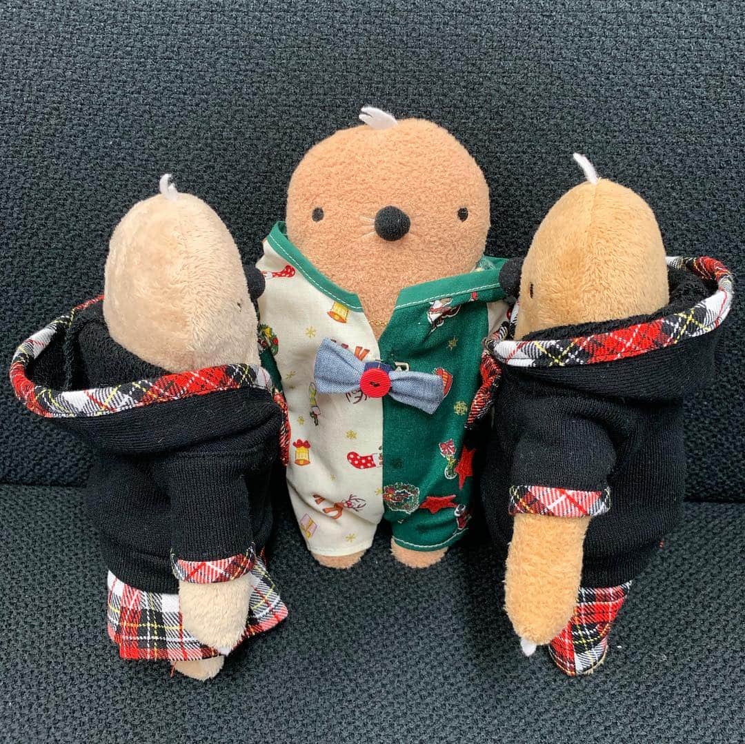 江口ともみさんのインスタグラム写真 - (江口ともみInstagram)「①ごいちくんに新しいお洋服を披露したもいちゃんともっくん  ②するとごいちくんくんから 「実はね。。。」と  ③もいちゃんもっくんが何やら驚いてる  ④まさか。。。知らなかったね。。。 ごいちくんは帰って行き。。。 ⑤そしてごいちくんのゴージャスなベットが初披露されたのですが(やっぱりセレブ感満載✨) ⑥ん？！ベットの向きが変わってる そして隣が空いてる。。。 こ、これは？？？ #fumofumosan #フモフモさん  #もぐぐ #もっくん#もいちゃん #ごいち#セレブ #重大発表 #オリジナルベット」12月1日 23時11分 - tomomin.eguchi