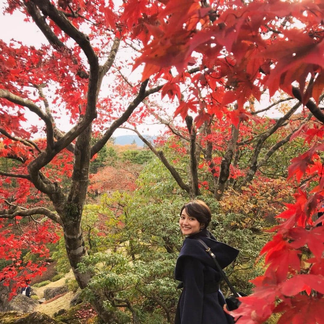 黒澤はるかさんのインスタグラム写真 - (黒澤はるかInstagram)「#紅葉 を観に箱根にぷち遠出🍁 赤、黄色、桃色、橙、緑。 こんなに鮮やかで美しいなんて。 そう感じられた時間が幸せでした。 #紅葉の階段 や、#紅葉の宝箱 も見つけた。 #最高の息抜き」12月1日 23時22分 - haruka_offi