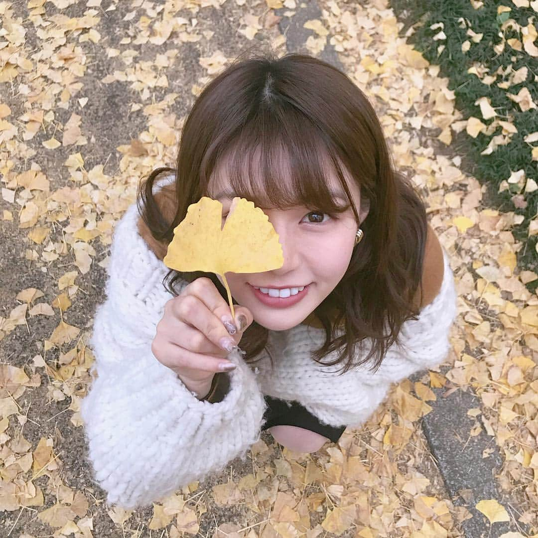 井口綾子さんのインスタグラム写真 - (井口綾子Instagram)「・ 外苑前のいちょう並木☺️綺麗でした✨ 紅葉も見に行きたいなあ〜〜🍁 去年も見に行きたいと思いつつ行けなかったから今年は見に行きたい！」12月2日 15時14分 - ayako_inokuchi