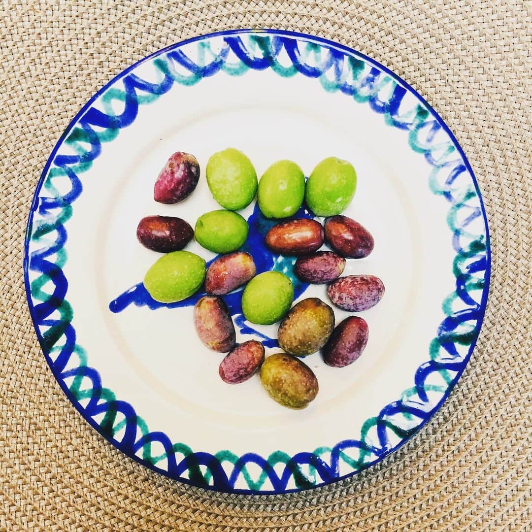 池澤春菜さんのインスタグラム写真 - (池澤春菜Instagram)「世界中（そして日本でも）お皿買いすぎ問題。でも好きだからつい……お皿がよければ、適当なご飯でも美味しそうに見えるマジック‼︎ #アンティーク #ニョニャウェア #マレーシア #スペイン #サンフランシスコ #冬はだいたいお鍋食べてればなんとかなる」12月2日 10時37分 - haluna7