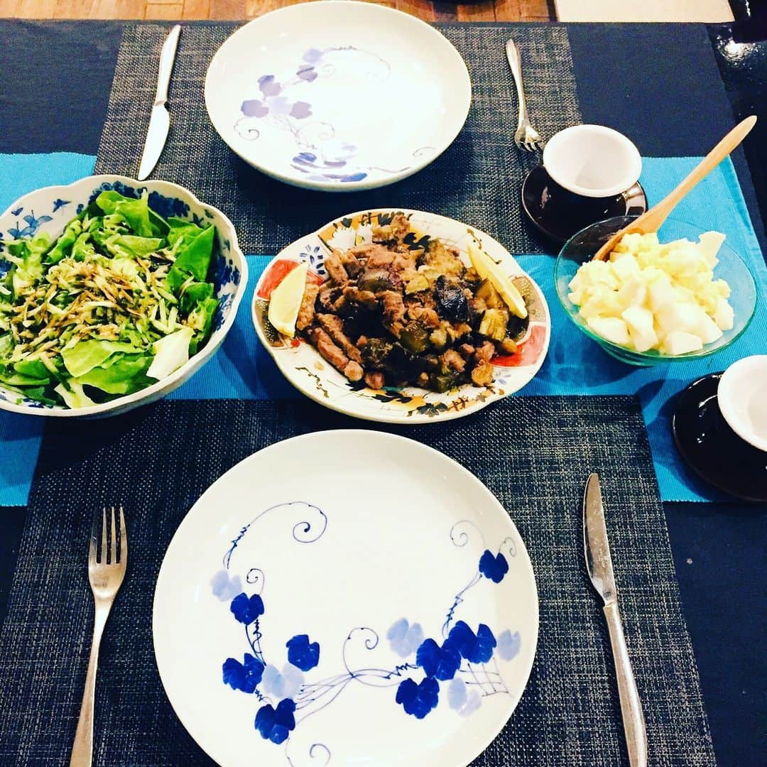 池澤春菜さんのインスタグラム写真 - (池澤春菜Instagram)「世界中（そして日本でも）お皿買いすぎ問題。でも好きだからつい……お皿がよければ、適当なご飯でも美味しそうに見えるマジック‼︎ #アンティーク #ニョニャウェア #マレーシア #スペイン #サンフランシスコ #冬はだいたいお鍋食べてればなんとかなる」12月2日 10時37分 - haluna7