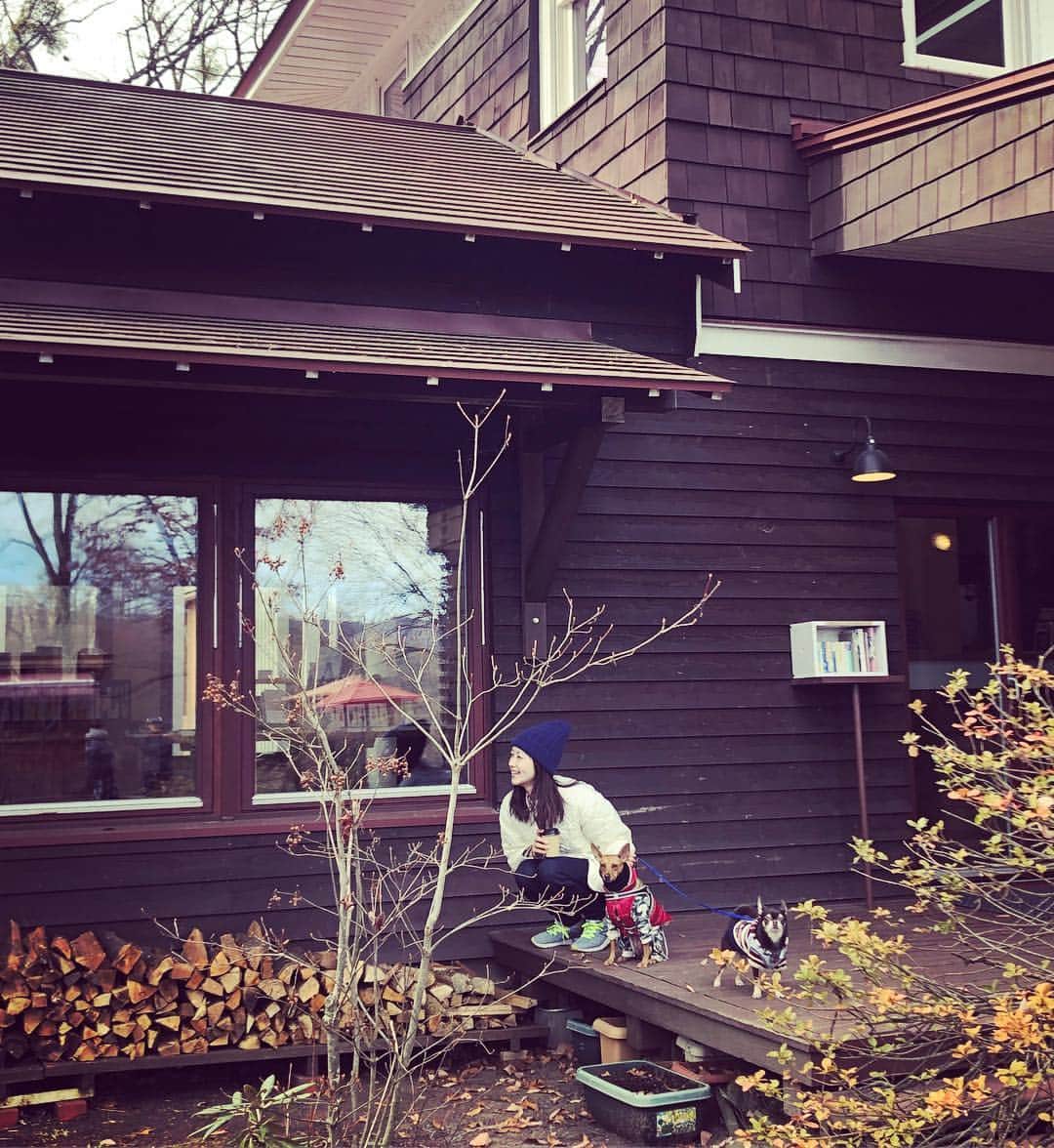 笛木優子のインスタグラム：「ワンコ、薪、辛ラーメン、北軽井沢。  おやすみなさい☕︎💤」
