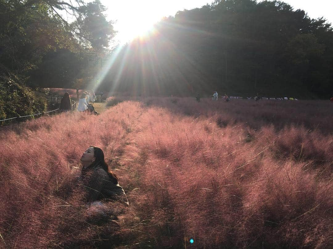 イ・セヨンさんのインスタグラム写真 - (イ・セヨンInstagram)「햇빛처럼 따사롭고 바다처럼 속 깊은, 보고 있으면 반짝반짝 빛이 나는 우리 언니들♡ 사랑해요 언니들❤️❤️ #주말사용설명서」12月2日 20時34分 - seyoung_10