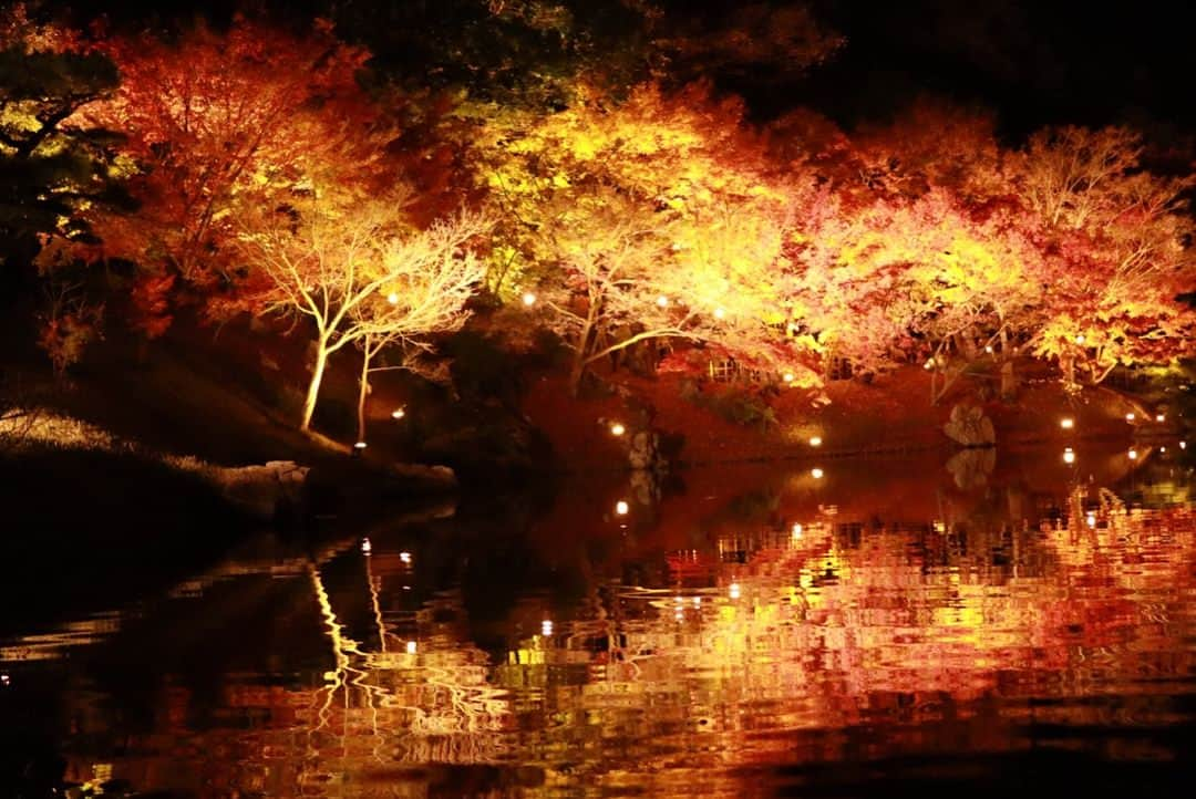 藤田崇寛さんのインスタグラム写真 - (藤田崇寛Instagram)「栗林公園 秋の紅葉ライトアップ行ってきました！  とてもきれいだった。  そしていい写真が撮れた☺️ #栗林公園 #紅葉 #ライトアップ #秋 #これが終わると #冬 って感じ #ミラーレス」12月2日 21時36分 - fujitaka0125