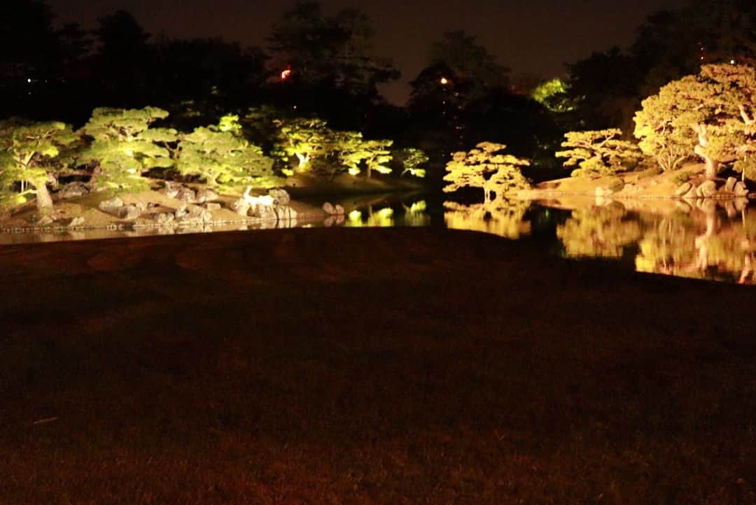 藤田崇寛さんのインスタグラム写真 - (藤田崇寛Instagram)「栗林公園 秋の紅葉ライトアップ行ってきました！  とてもきれいだった。  そしていい写真が撮れた☺️ #栗林公園 #紅葉 #ライトアップ #秋 #これが終わると #冬 って感じ #ミラーレス」12月2日 21時36分 - fujitaka0125