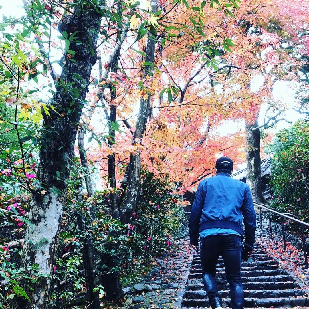 白崎浩之さんのインスタグラム写真 - (白崎浩之Instagram)「普段体は鍛えているので今日は心を鍛えに？お寺に行ってみました。 何かつっかえていた心が洗われたような気がします。 突然皆さんにありがとうと言いたいです。笑  あと！オリックスのファン感謝祭に来て頂いていた霜降り明星さん！勝手に好きで勝手に前から応援してました！ おめでとうございます^_^  #京都 #鈴虫寺 #素敵なお話 #ありがとうございます #願いが叶うのは１つだけ #願い事はもちろん… #最近更新率高め」12月3日 19時35分 - shirasaki_hiroyuki