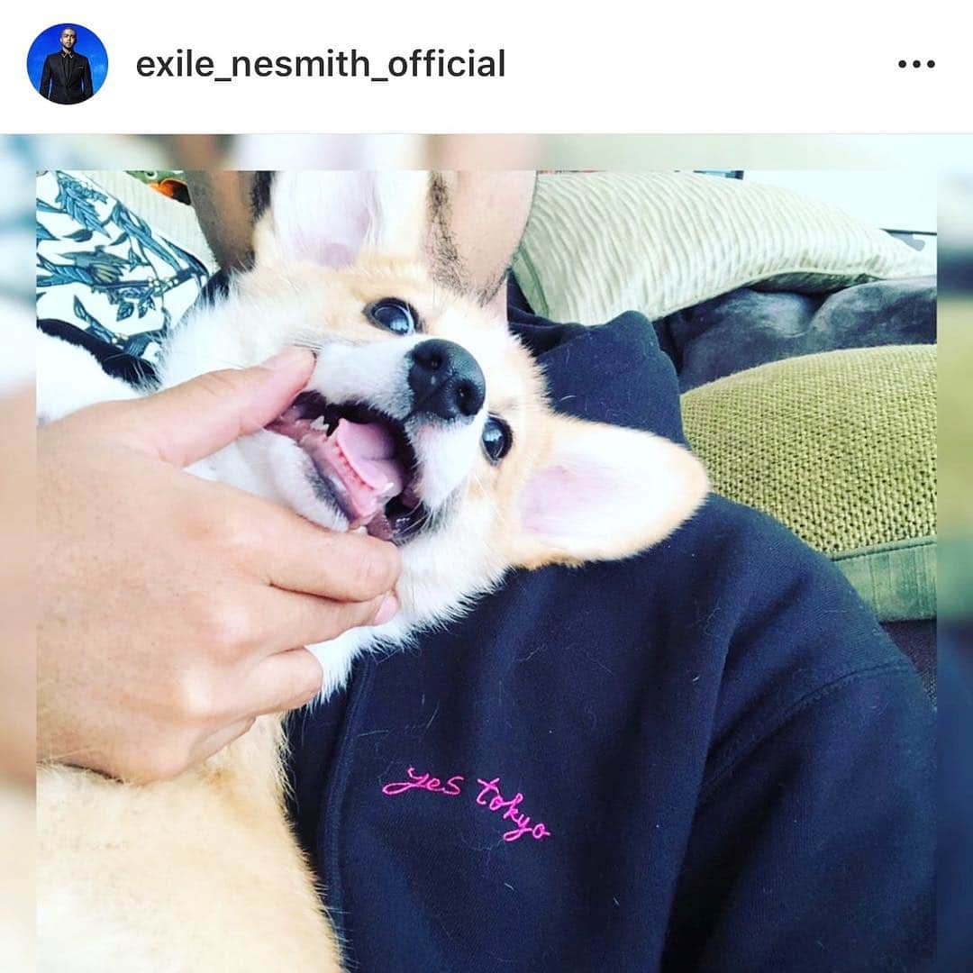 YES TOKYOのグルメインスタ