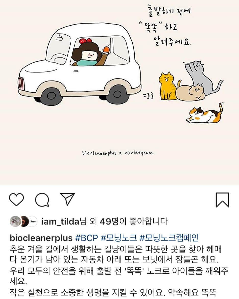 SoonMooさんのインスタグラム写真 - (SoonMooInstagram)「겨울맞이 모닝노크 캠페인 같이 해요!! 겨울엔 따뜻한 곳을 찾아 헤매다 온기가 남아있는 자동차 보닛에 들어가서 잠드는 고양이들이 많다고 해요.😭 얼마나 추웠으면...! 고양이들과 운전자분들의 안전을 위해서도 출발 전 보닛을 한 번 똑똑- 노크해주셨으면 좋겠습니다! 1초도 안 걸려요🤭 #BCP #모닝노크 #모닝노크캠페인」12月3日 18時46分 - soonmoo_cat