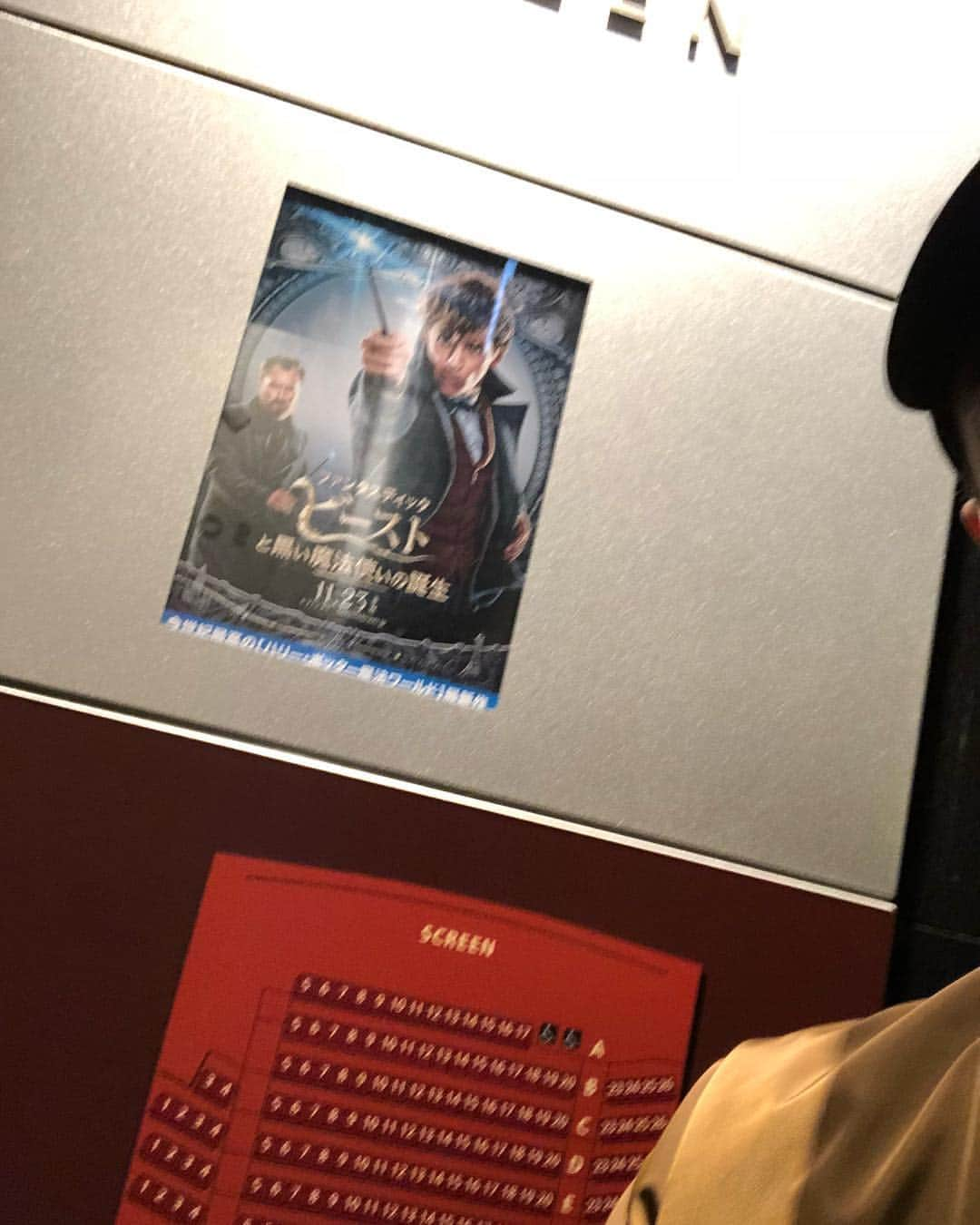 山口祥行さんのインスタグラム写真 - (山口祥行Instagram)「ワクワクして楽しかったけど、スッゲー長い予告だったな……次いつやるんだ💢 #ファンタスティックビーストと黒い魔法使いの誕生」12月3日 12時51分 - yamariguez