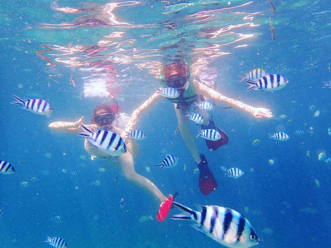 米山珠央さんのインスタグラム写真 - (米山珠央Instagram)「. 3日目は、#シュノーケリング をしました🐠 息が長く続くようになりたいな〜🌟 . #女子旅 #旅行 #タビジョ #セブ島 #フィリピン #マクタン島 #水中写真 #海 #水着 #ビキニ #ニモ #trip  #mactan #island #schnorcheln #marine #sebu #philippines #🇵🇭」12月3日 15時04分 - tamao_17no1