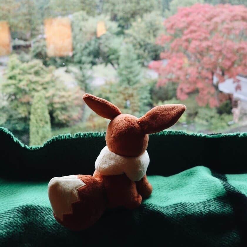 【公式】プロジェクトイーブイのインスタグラム：「⠀ 📍Komagane, Nagano / 駒ヶ根（長野）⠀ ⠀ 珍しく室内からの写真です😊⠀ 今日はお外が寒かったのでイーブイといっしょに温かいお部屋でのんびりすごします✨⠀ ⠀ Eevee enjoying the autumn colors😊⠀ ⠀ ⠀ #traveleevee#トラベルイーブイ#ポケモン⠀⠀⠀ #projecteevee#プロジェクトイーブイ#イーブイ⠀⠀⠀ #pokemon#eevee#eievui#travel#japantrip⠀ #nagano#naganojapan#komagane#winter⠀ #長野#長野旅行#長野観光#駒ヶ根#窓の外#窓のある風景⠀」