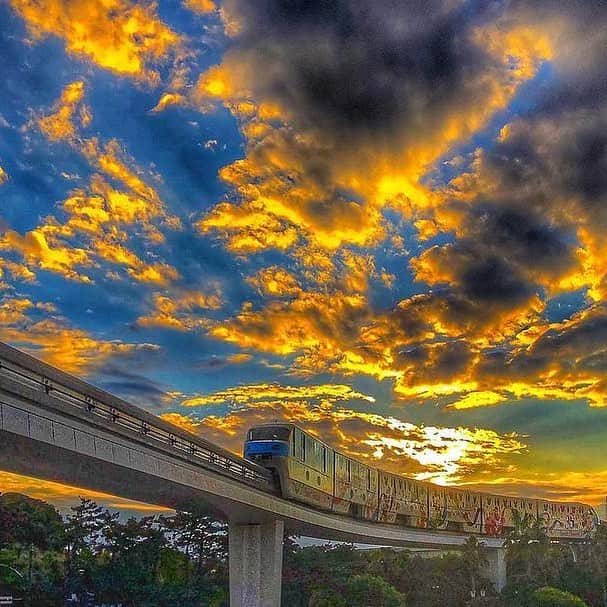 東京ディズニーリゾートさんのインスタグラム写真 - (東京ディズニーリゾートInstagram)「magical sunset あの夕日の向こうへ (Photo:@skyrs_key)  #disneyresortline #sunset #monorail #happiestcelebrationliner #resortliner #ディズニーリゾートライン #東京ディズニーリゾート #夕日 #夕焼け #ハピエストセレブレーションライナー #リゾートライナー  これからもゲストのみなさんの写真をご紹介します。 #tokyodisneyresort などをつけて投稿してくださいね。詳しくは公式ブログでご案内しています。 http://www.tokyodisneyresort.jp/blog/151005/」12月3日 16時13分 - tokyodisneyresort_official