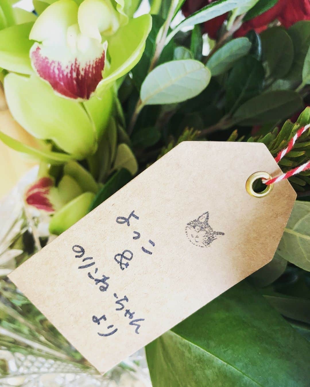 純名里沙さんのインスタグラム写真 - (純名里沙Instagram)「昨日のコンサートで従姉妹のお姉ちゃん達がくれたお花💐 自宅で生き生きと咲いてくれています✨ ・ なかなかお会い出来てなかった皆々さまに久しぶりに逢う事が出来て、本当に嬉しい１日となりました😭❤️ありがとうございました‼️ ・  #お花 #嬉しかった！ #ありがとう」12月3日 17時25分 - risajunna3158